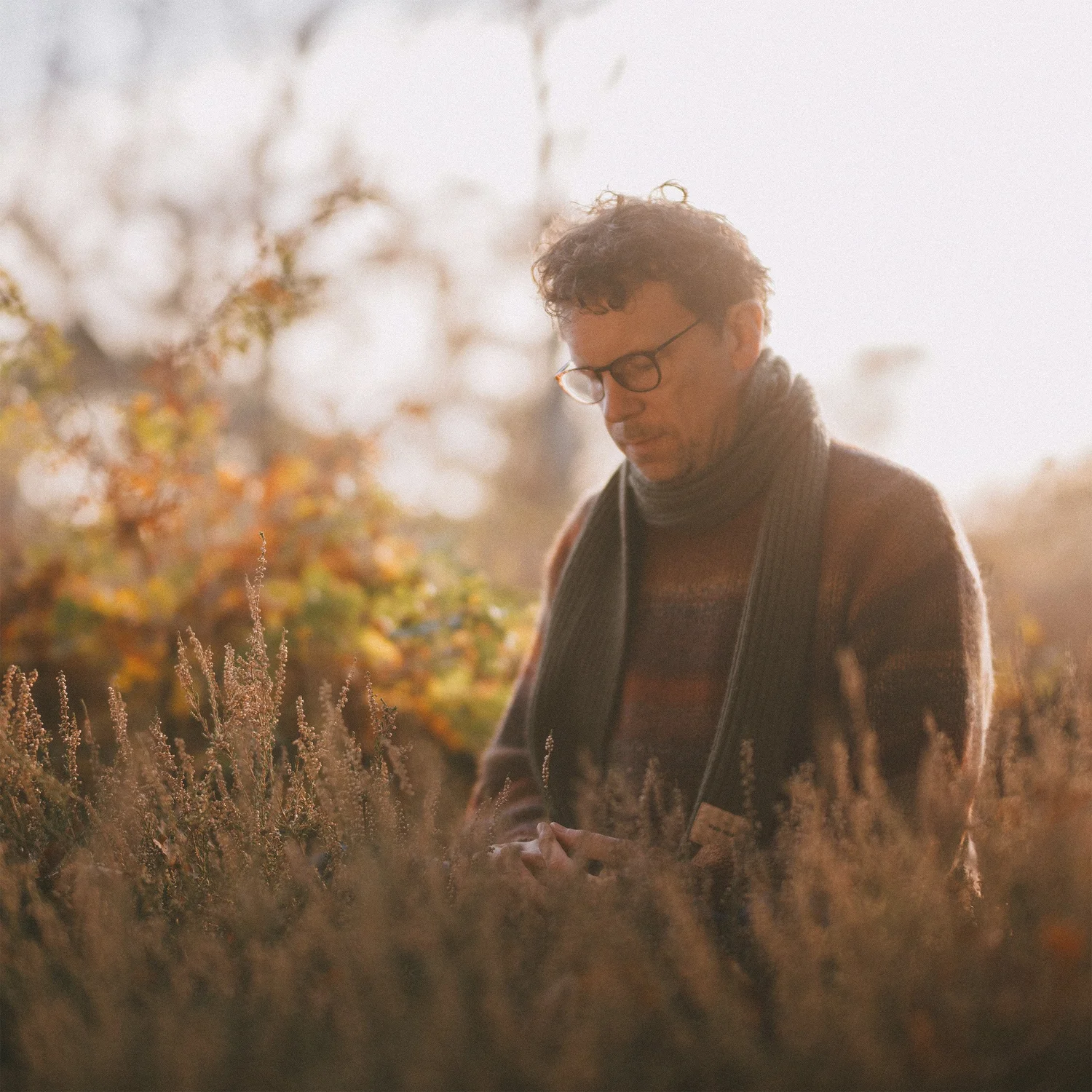 Scrimshire 'Bring Our Light To Every Corner' (Albert's Favourites) - a review